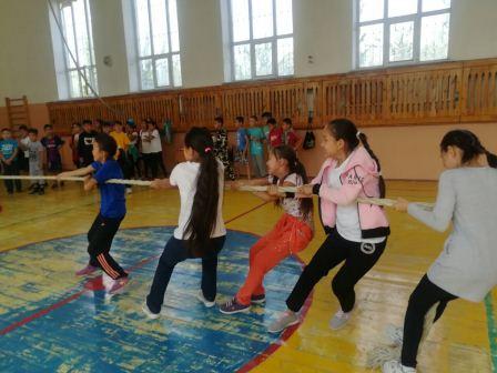 "Денсаулық фестивалі"